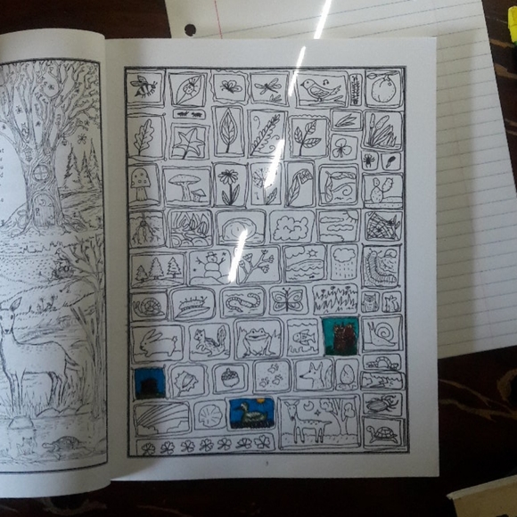 Homeschool Nature Study/Science Journal - Picture 12 of 12